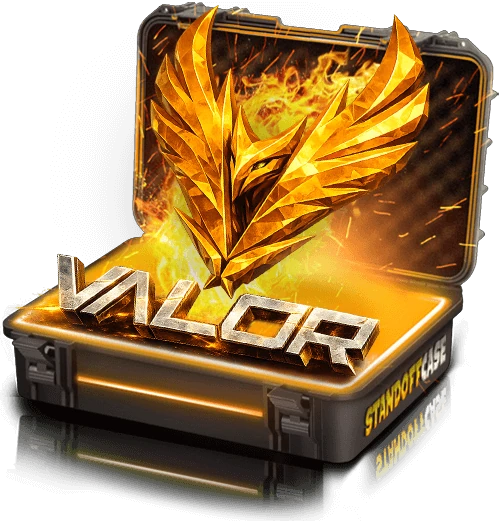 Кейс Valor